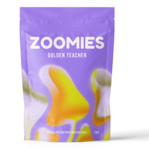 Golden Teacher | Fungalfriend Canada