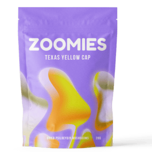 Texas Yellow Cap | Fungalfriend Canada