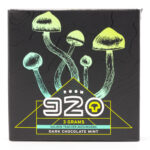 Room 920 - Mushroom Chocolate Bar - Dark Chocolate Mint - 3 grams | Fungalfriend Canada