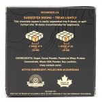 Room 920 – Mushroom Chocolate Bar - Milk Chocolate - 3 Grams | Fungalfriend Canada
