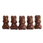Alice - Mushroom Milk Chocolate - 2.5g | Fungalfriend Canada