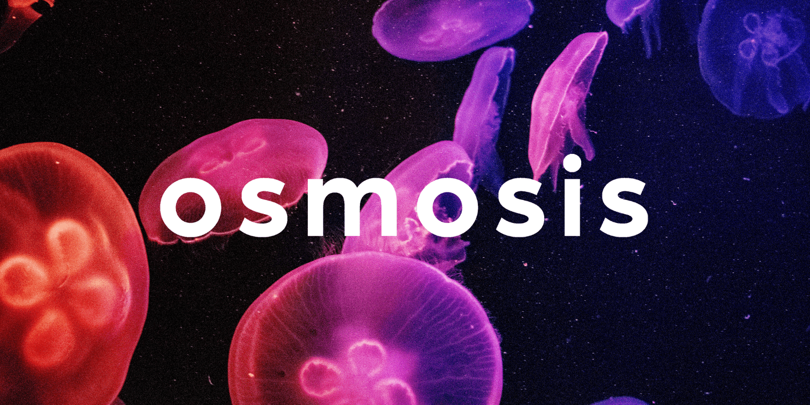 Zoomies osmosis banner | Fungalfriend Canada