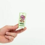 Wonder – Psilocybin Chocolate Bar – Dark Chocolate | Fungalfriend Canada