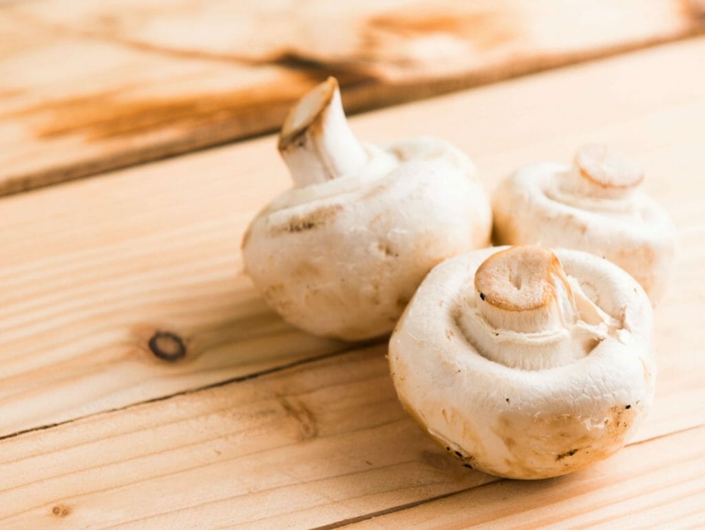 Buy Mushrooms Online and Explore the The Best Way to Obtain Psilocybin Buy Shrooms Online at Fungalfriend Canada