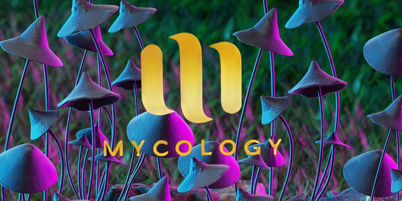 Zoomies Summer 2023 Banner - Mycology | Fungalfriend Canada