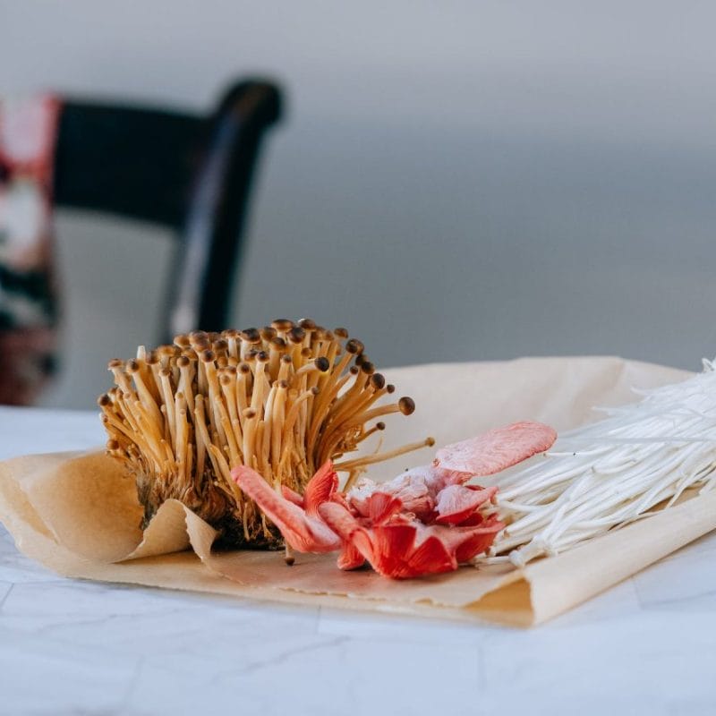 Buy Shrooms Online Canada (1) | Fungalfriend Canada
