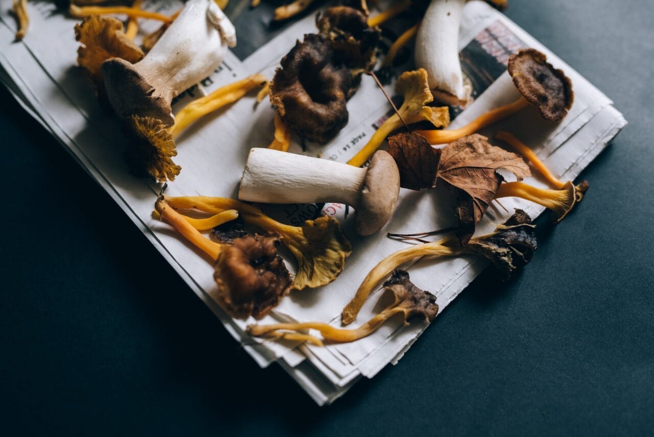 Does the Combination of Mushrooms and Chocolate Work Well?