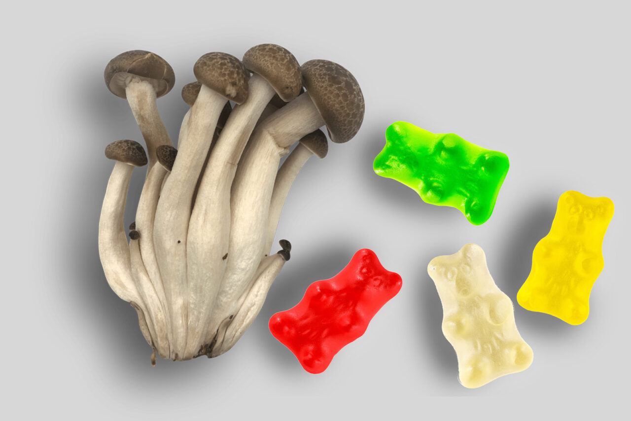 Top LSD edibles in Canada Edibles featuring LSD