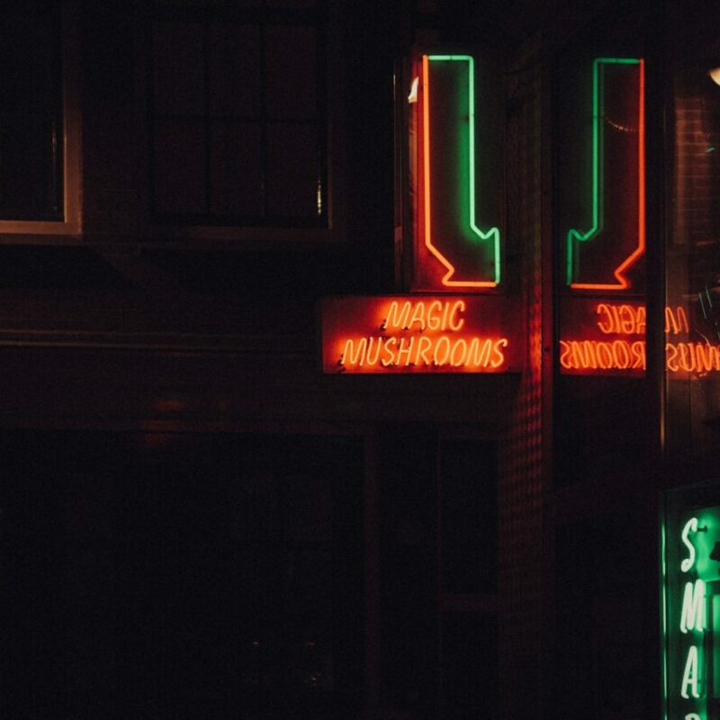 Mushroom Dispensary Vancouver | Fungalfriend Canada